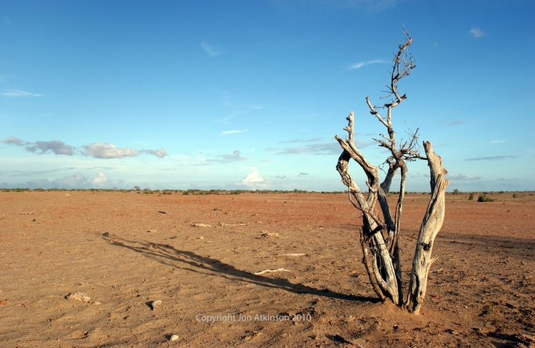 Tsavo East National Park, Kenya Tsavo East National Park, Kenya